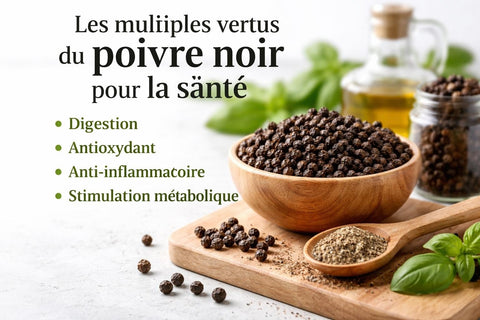 Poivre Bienfaits : Vertus et Propriétés Santé en 2026