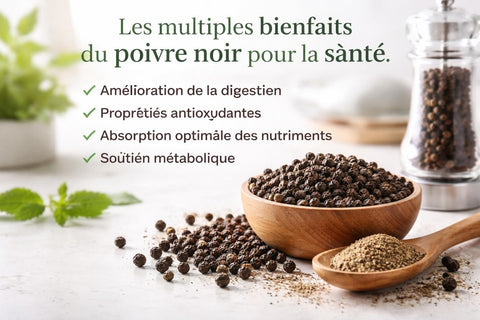 Poivre Noir Bienfaits : Vertus Santé et Usages