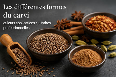 Epices Carvi : Guide Complet pour Professionnels 2026