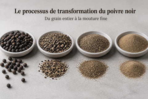 Poivre Noir Moulu : Guide Complet 2026
