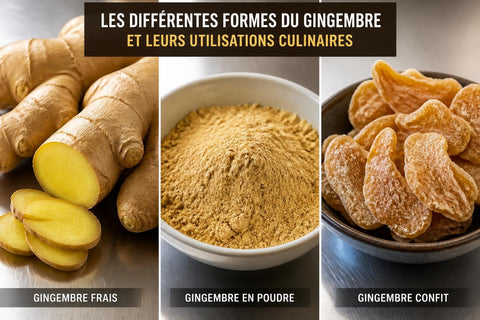 Épices Gingembre : Propriétés et Utilisations Pro 2026