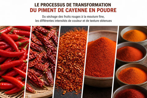 Cayenne Poivre : Guide Complet 2026 pour Professionnels