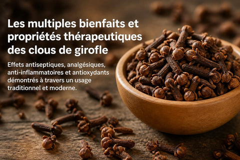 Clou de Girofle Vertus : Bienfaits et Utilisations 2026