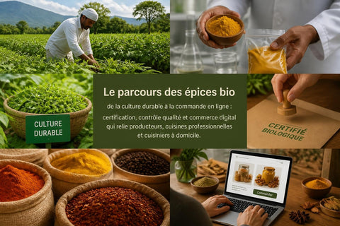 Épices Bio en Ligne : Guide 2026 pour Professionnels