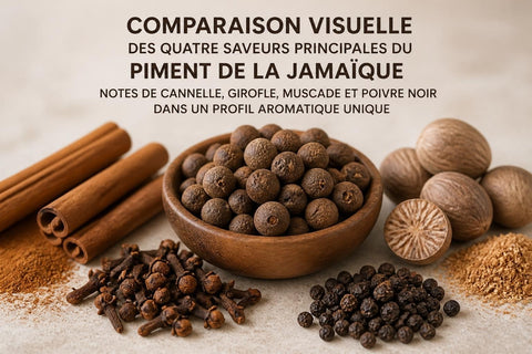Piment de la Jamaïque : Guide Complet 2026