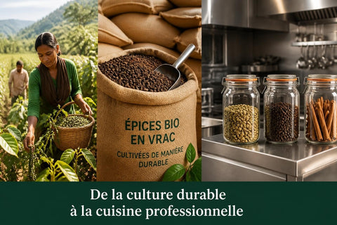 Épices Bio en Vrac : Guide Complet 2026