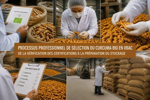 Acheter Curcuma Bio en Vrac : Guide Professionnel 2026
