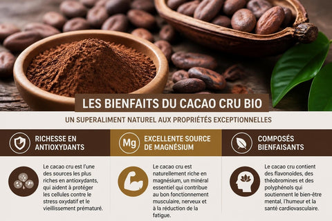 Cacao Cru Bio : Propriétés, Bienfaits et Utilisations