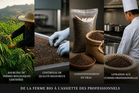 Grossiste Épices Bio Restaurant : Guide Complet 2026