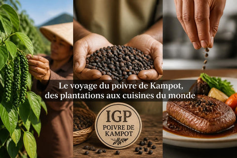 Poivre de Kampot : Où Acheter ce Trésor Cambodgien