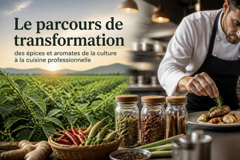 Épices et Aromates : Guide Professionnel 2026