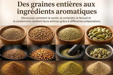 Épices Graines : Guide Complet 2026 pour Professionnels