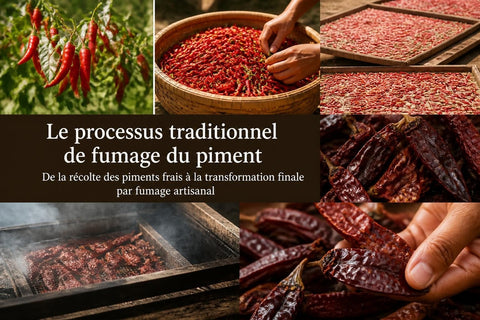 Piment Fumé : Guide Complet pour Professionnels 2026