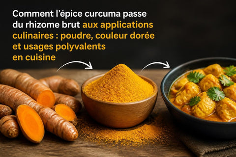 Curcuma Épice Utilisation : Guide Complet 2026