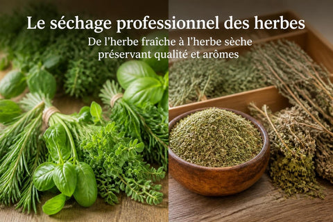 Herbe Séchée : Guide Complet pour Professionnels