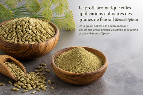 Fenouil Épices : Guide Professionnel 2026