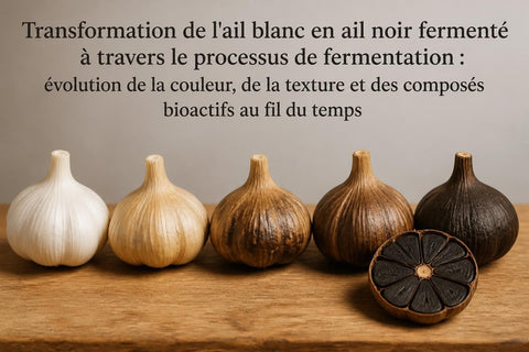 Ail Noir Fermenté : Transformation, Bienfaits et Usages