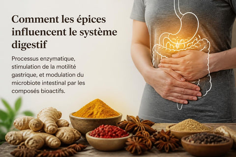 Épices et Digestion : Bienfaits et Utilisation Optimale
