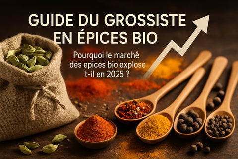 Guide Grossiste Epices Bio : Tout Comprendre en 2025