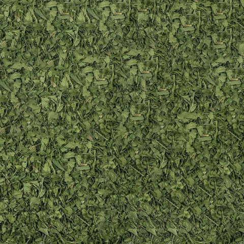 Feuille de persil bio