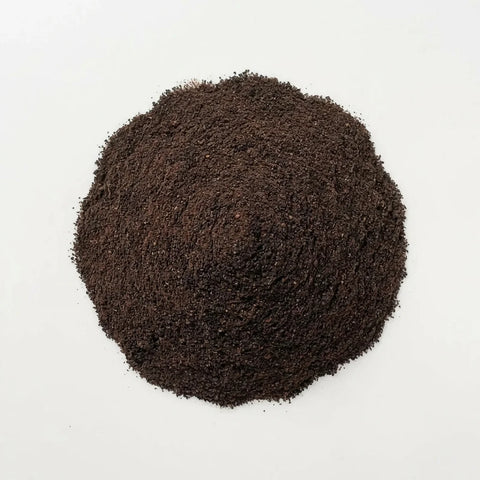 Ail bio | moulu | noir | fermenté