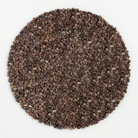 Cardamome bio | Graines | entières