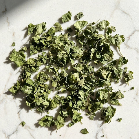 Feuilles de Coriandre Effeuillé BIO