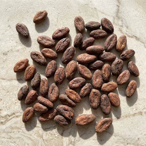 Fèves de Cacao BIO