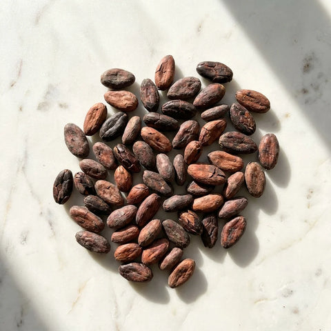 Fèves de Cacao Nacional Torréfiés BIO