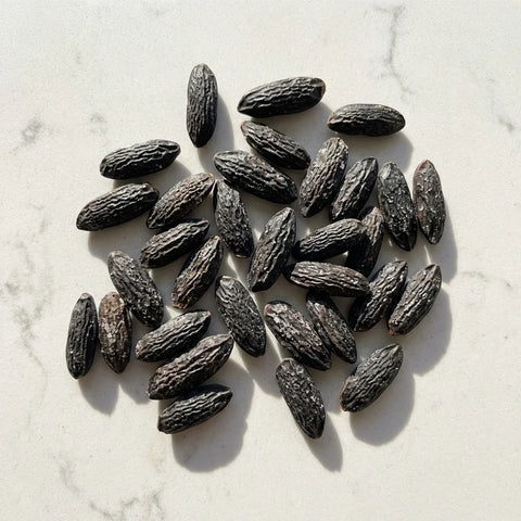 Fèves de tonka | entières