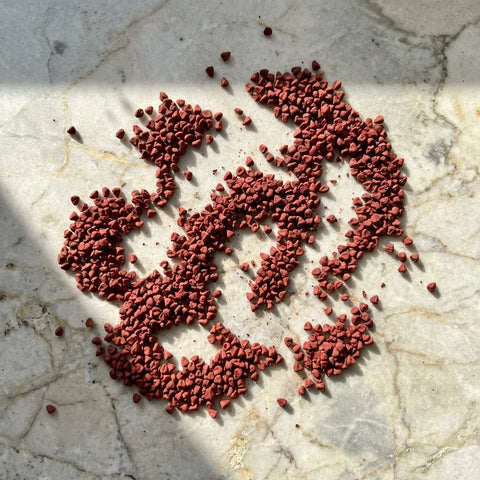 Graines d'annatto bio | entier | 4,5-6 mm