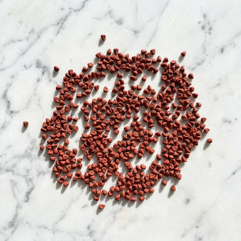 Graines d'Annatto Entier BIO