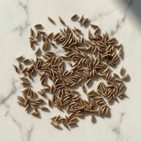 Graines De Carvi Entier BIO