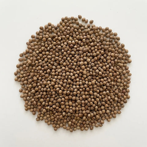 Graines de coriandre bio | entier | 3 mm