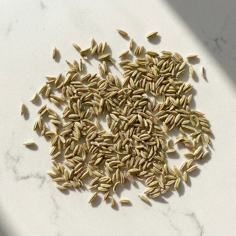 Graines de fenouil bio | entier | sucré