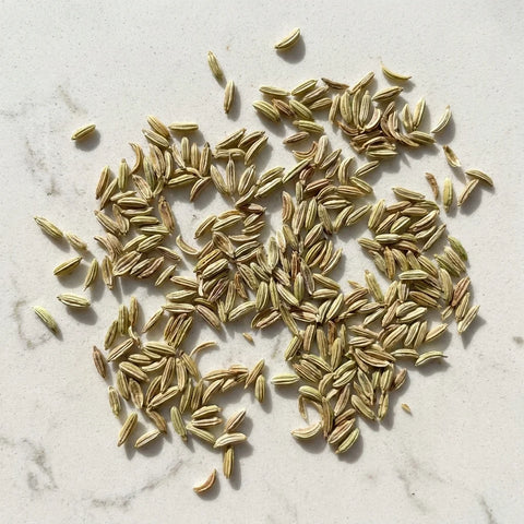 Graines de Fenouil Entier BIO