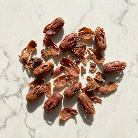 Macis bio, fleurs de muscade | entier | 2,5-3,2 cm