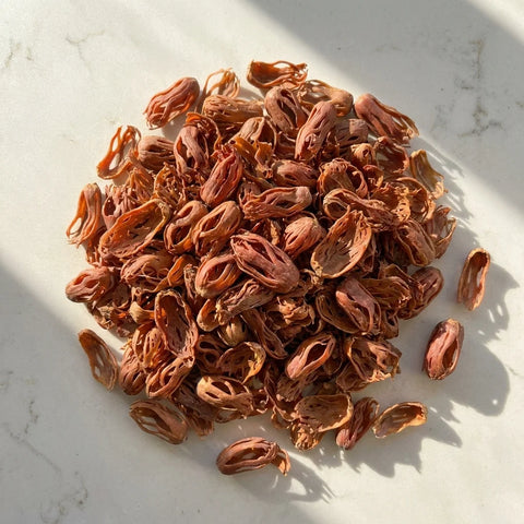 Macis Fleurs de Muscade Entier BIO