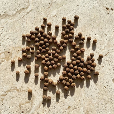 Poivre de Melegué Grains De Paradis Entier