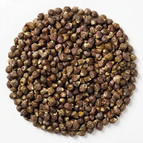 Poivre de Melegué Grains de Paradis | entier
