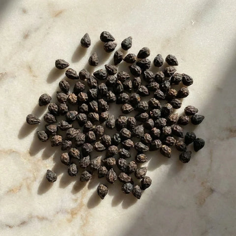 Poivre de Mûre d'Assam Entier