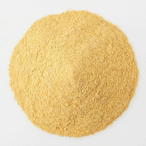 Poudre de mangue bio